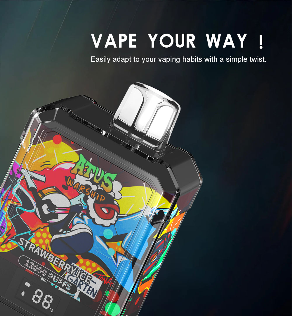 DE013A 12000 Puffs New Mexico NM USA Disposable Vapes with LED display screen and adjustable airflow ATVS Vape