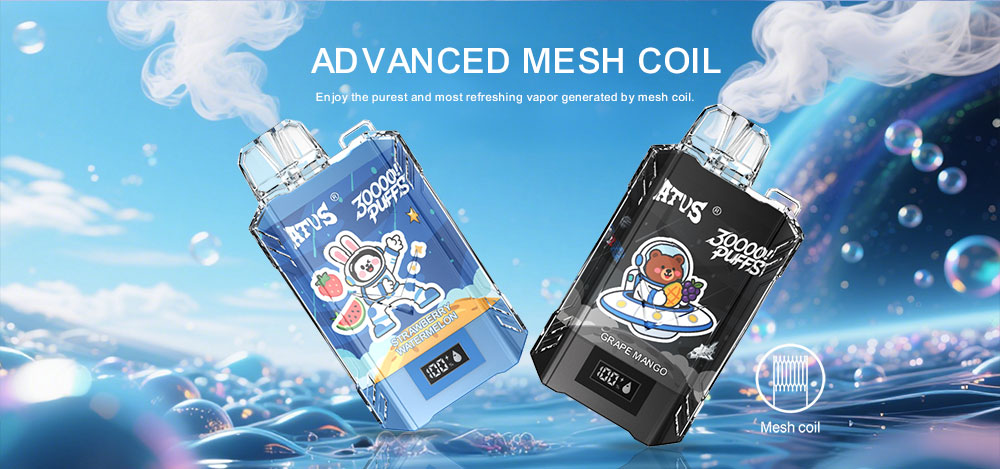 DE017 New Mexico NM USA 30000 Puffs Disposabl Vape with LED display screen and adjustable airflow rechargeable