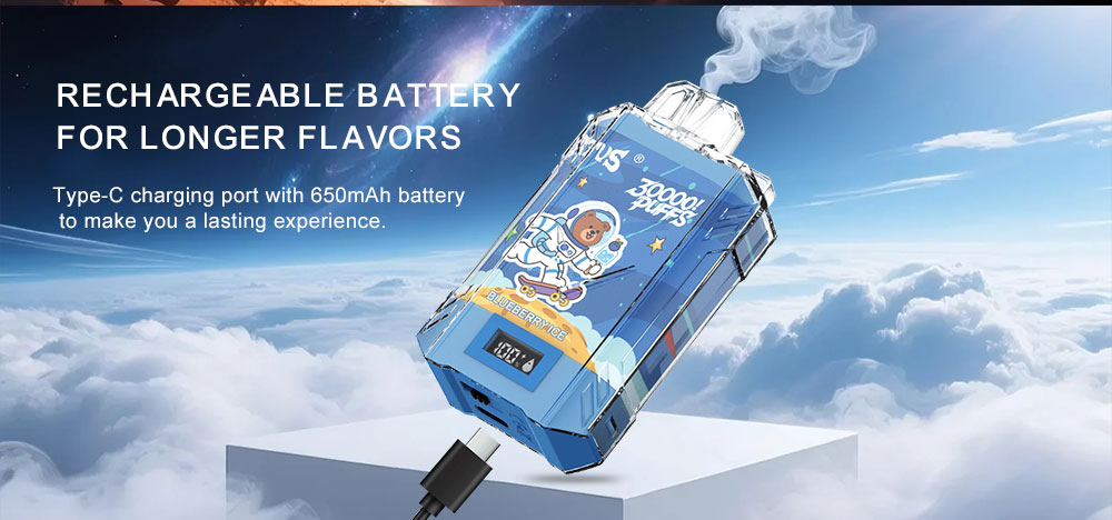 DE017 New Mexico NM USA 30000 Puffs Disposabl Vape with LED display screen and adjustable airflow rechargeable